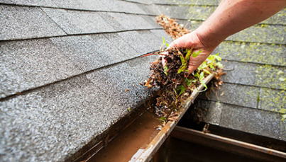 Roof Cleaning