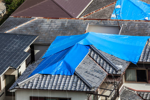 Emergency Roof Dublin