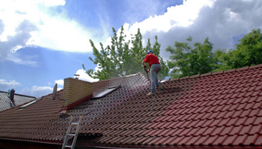 Roof Cleaning