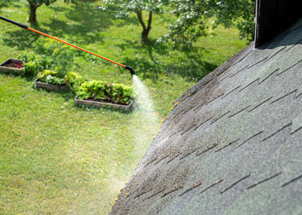 Roof Moss Removal Dublin