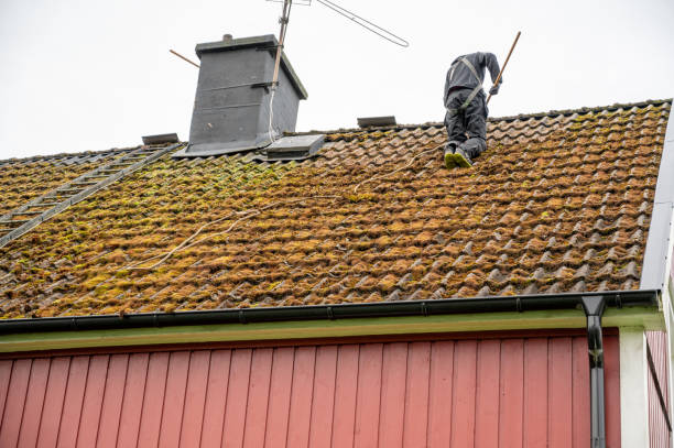 Roof Moss Removal Meath
