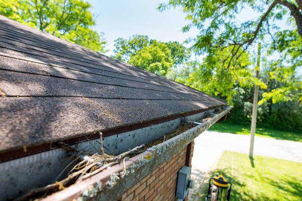 Roof Moss Removal Dublin