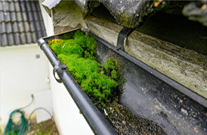Roof Cleaning